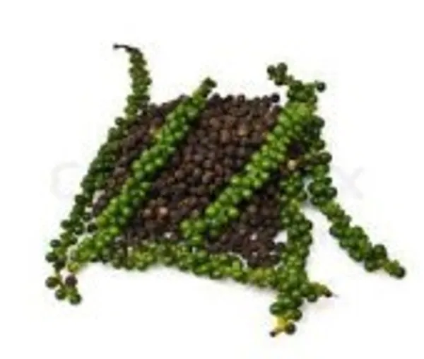 Bell_Pepper_Plant_|_Grafted_and_Hybrid_Plants