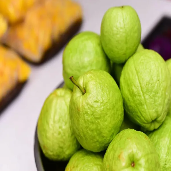 Baruipur_Khaja_Guava_|_Grafted_and_Hybrid_Plants