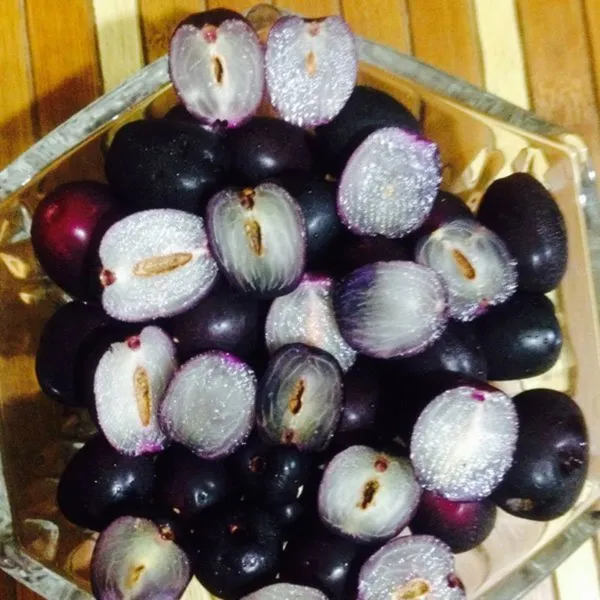 Seddless_Jamun_Plant