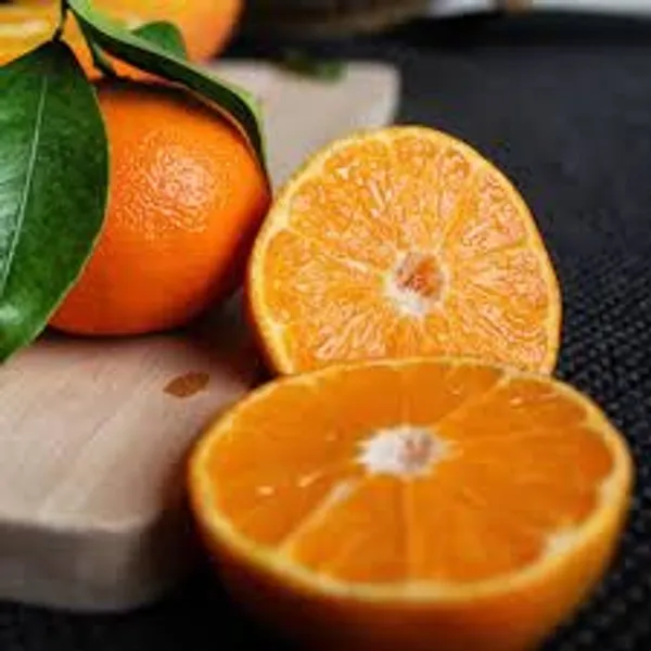 Jaffa_Orange_Plant_|_Grafted_and_Hybrid_Plants
