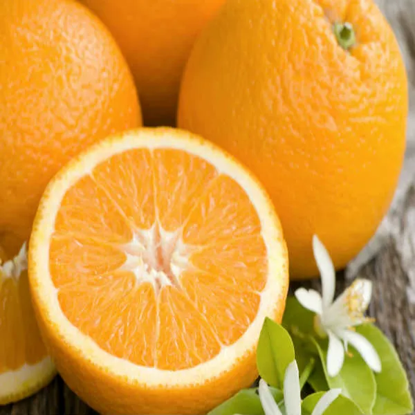Kashmiri_Kinnu_Orange_|_Grafted_and_Hybrid_Plants