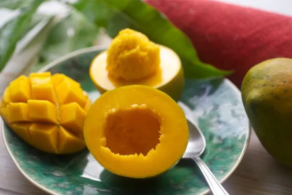Bombay_Mango_Plant_|_Grafted_and_Hybrid_Plants
