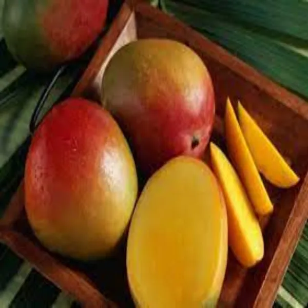 Vietamin_All_Time_Mango_|_Grafted_and_Hybrid_Plants