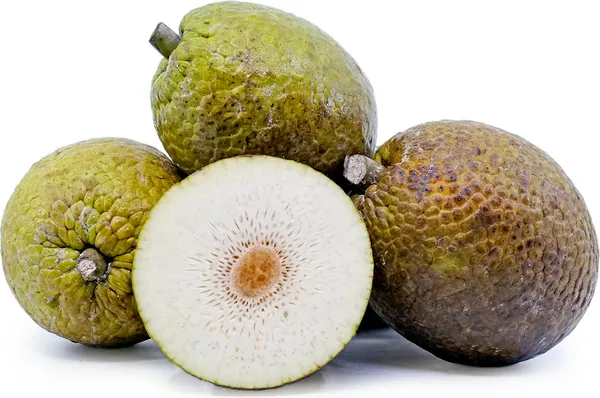 Bred_Fruit_Dwarf_Plant_|_Grafted_and_Hybrid_Plants