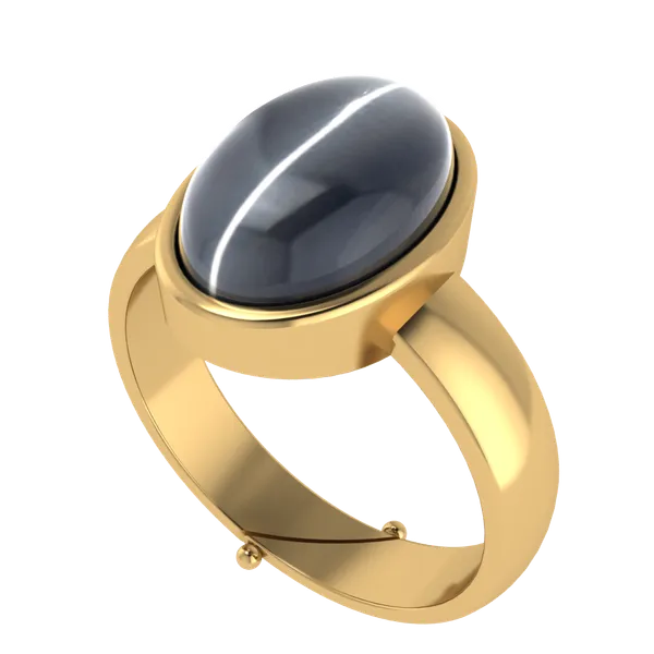 https://cdn-image.blitzshopdeck.in/ShopdeckCatalogue/tr:f-webp,w-600,fo-auto/652e62af02d8dc3ec12e30ed/media/Cats_Eye_Gemstone_Ring_In_Gold_Setting_X120JFAHZH_2023-12-27_1.png__Forever Jewellery