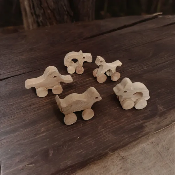 Set of 5 Neem Wood toys - Hand Painted