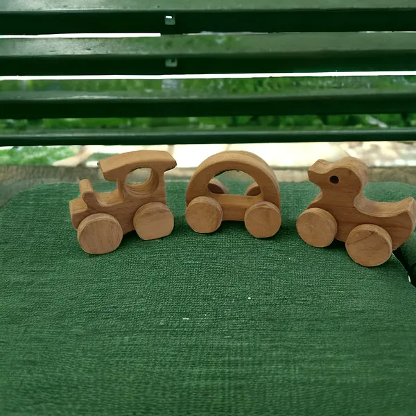 Anti_Bacterial_&_Healthy_Push_&_Pull_Toys-_Duck,_Train_&_Hallow_Car