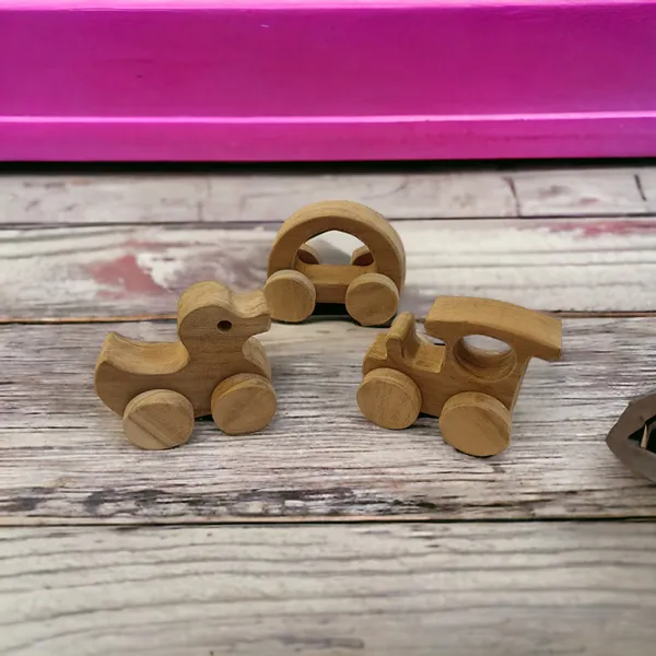 Anti_Bacterial_&_Healthy_Push_&_Pull_Toys-_Duck,_Train_&_Hallow_Car