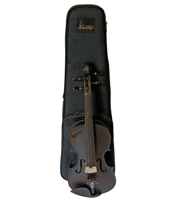 Premium_Quality_Violin_for_Music_Enthusiasts_and_Students_With_Box,Bow,Rosin,Bridge_4/4