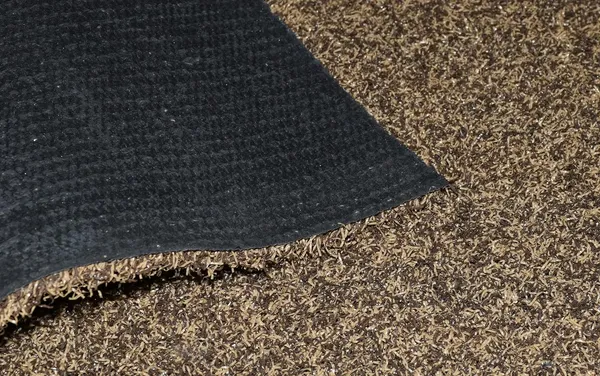 _Anti-Skid/Anti-Slip_Set_of_2_Pieces_PPE_Doormat,_Piazza_Door_mat_Rug_40X60_cm_(Beige)