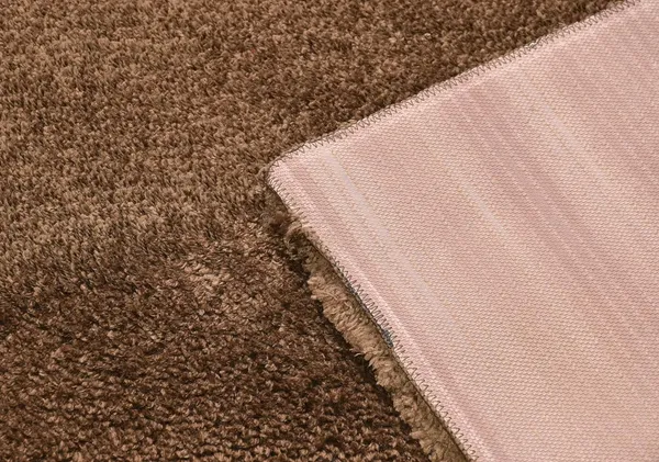 _Soft_Microfiber_Tufted_Bolio_Area_Rug_for_Living_Room_Size_-_4x6_Feet,_48x72_Inch,_Non-Slip_Shaggy_Floor_Carpet_for_Bedroom_&_Home_Decoration_Pack_of_1_Piece_-_Beige