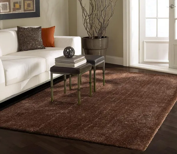 _Anti-Slip_Rug_Bolio_Soft_Micorifber_Tufted_Shaggy_Carpet_for_Bedroom,_Living_Room,_Kids_Room_&_Indoor_Home_Decoration_Size_-_4x6_Feet_(48x72_Inch),_Coffee