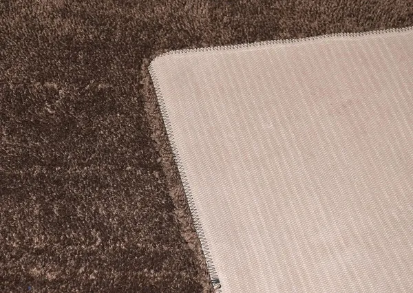 _Anti-Slip_Rug_Bolio_Soft_Micorifber_Tufted_Shaggy_Carpet_for_Bedroom,_Living_Room,_Kids_Room_&_Indoor_Home_Decoration_Size_-_4x6_Feet_(48x72_Inch),_Coffee