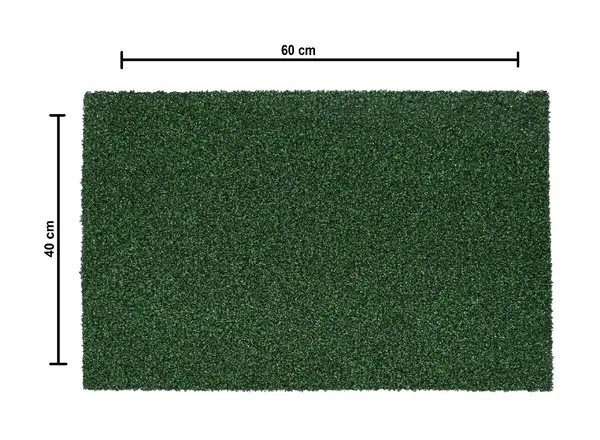 _Door_Mat_Piazza_Indoor_Outdoor_PP_Mat_Size_-_40x60_CM_Anti-Slip_Gel_Backing_Absorbent_Resist_Dirt_Floor_Mat_for_Entryway,_Bedroom,_Living_Room,_Office,_Pack_of_1_Piece,_Green