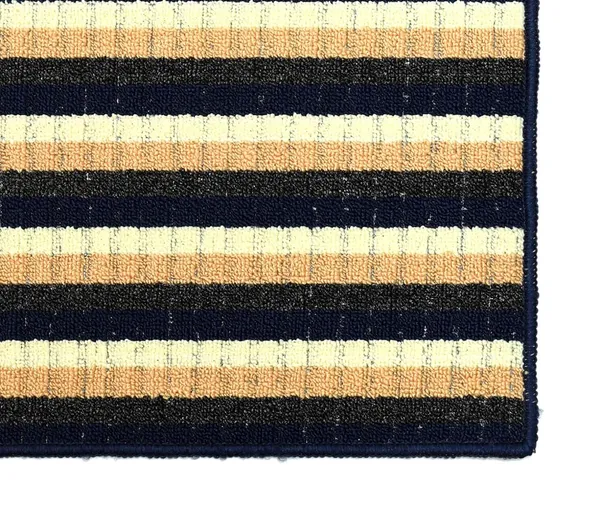 _Homes_Step_Confidently_and_Stylishly_with_Secure_Step_Premium_Patio_Anti-Skid_Gel_Backing_Tufted_Polypropylene_Door_Mat_for_Slippery_Floors_Size_-_40x60_CM,_Pack_of_2_Piece_(Blue)