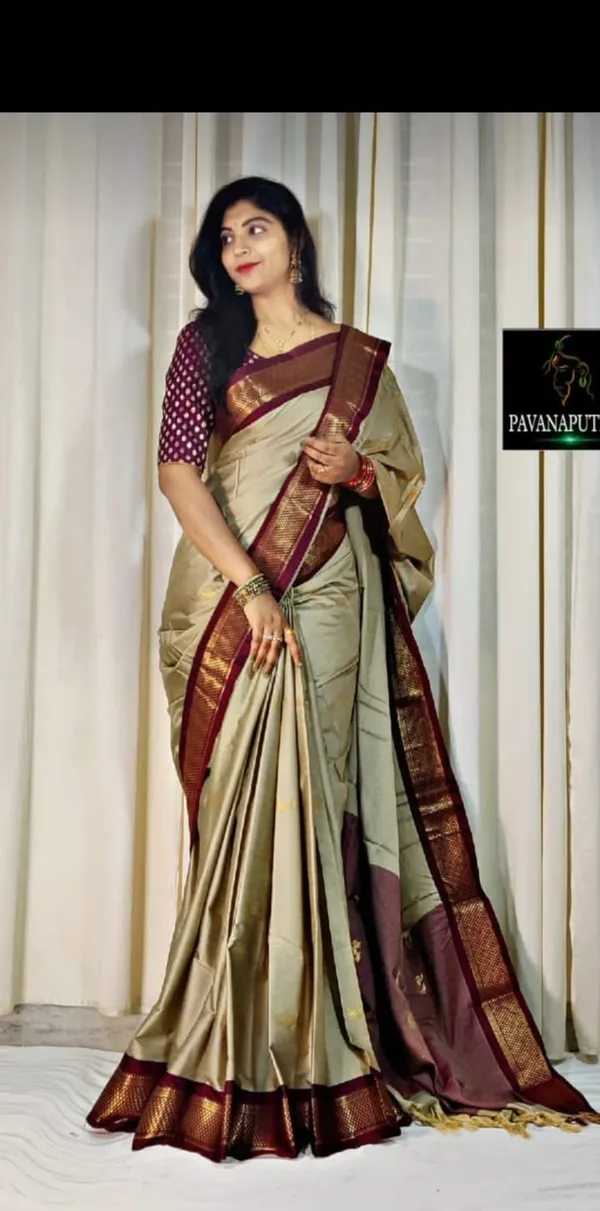 Chiku_Brown_Aquiliq_Woven_Temple_Border_Paithani_Cotton_Silk_Silk_Blend_Saree_For_Women
