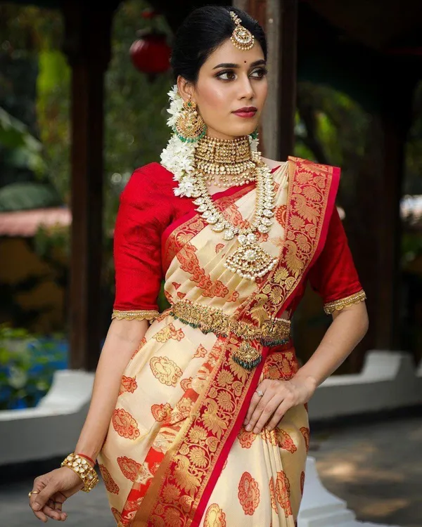 Multicolor_Pure_Kanjivaram_Silk_Saree_With_Brocade_Blouse_For_Women