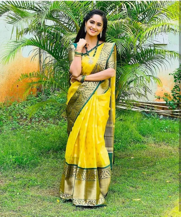 Green_Pure_Kanjivaram_Silk_Saree_With_Brocade_Blouse_For_Women
