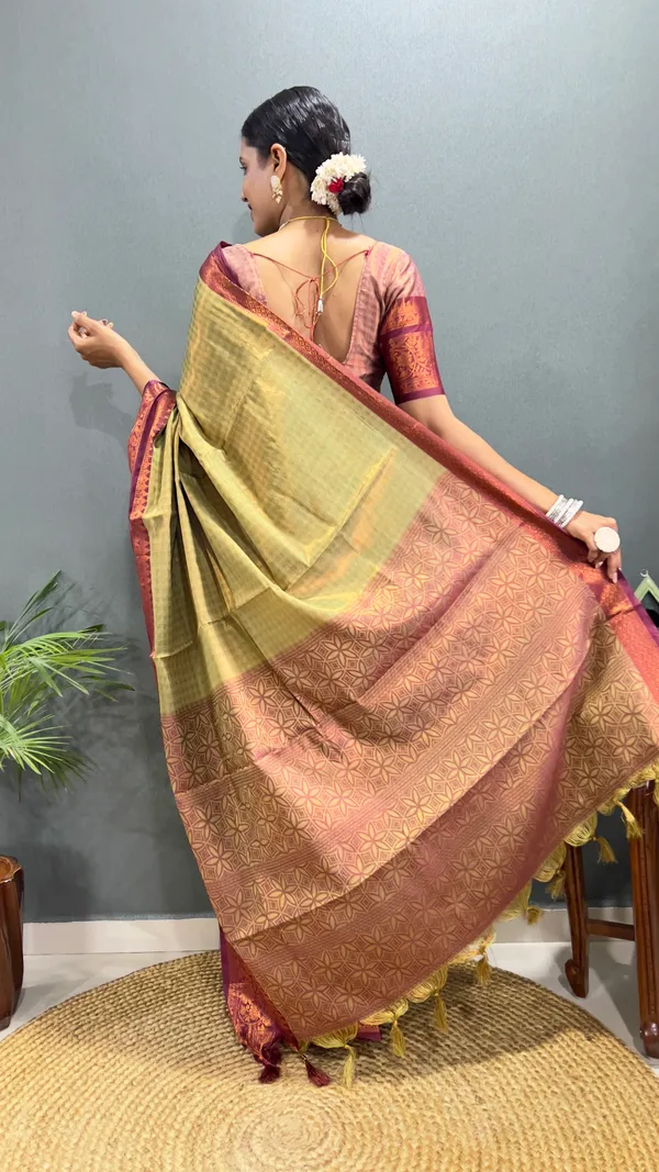 Pista_Brown_Ready_To_Wear_Pure_Kanchipuram_Silk_Saree_With_Blouse_Piece_For_Women