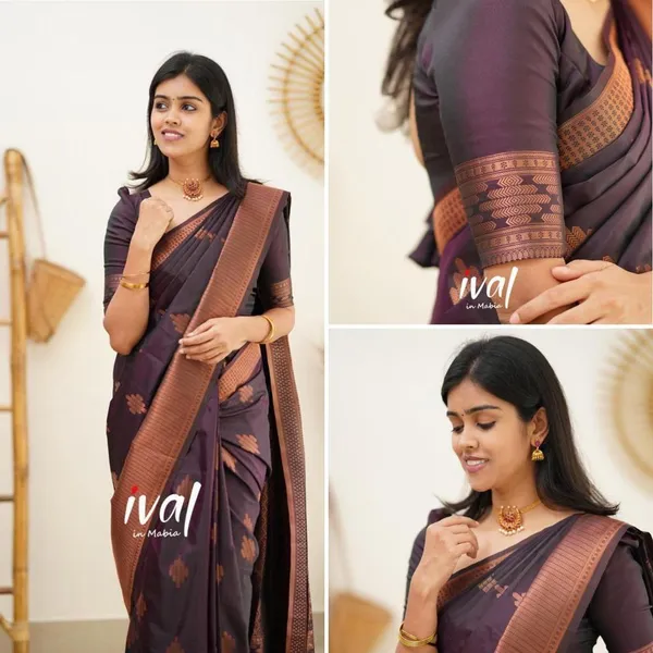 Multicolor_Dark_Woven_Kanjivaram_Jacquard_Saree_For_Women