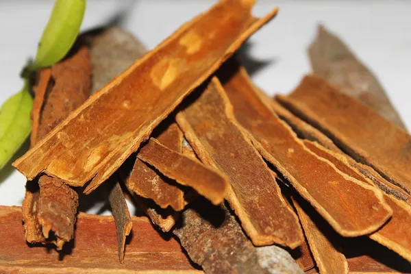 Cinnamon_/Dalchini_Plant__Healthy_Live_Plant_For_Sweet_Home_Garden