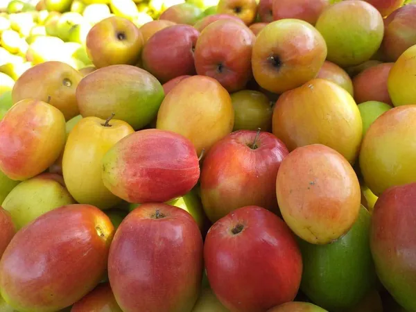 Kashmiri_Apple_Ber_Grafted_Plant_&_Tree__For_Outdoor_Home_And_Garden