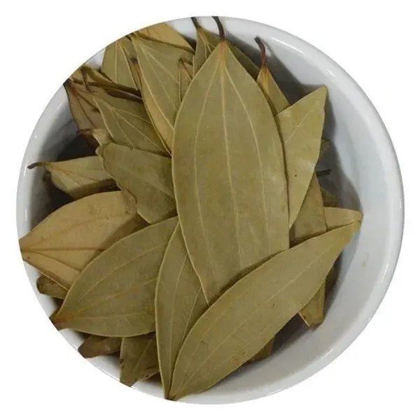 Tej_Patta/Bay_Leaf/Cassia_Leaf_Plant