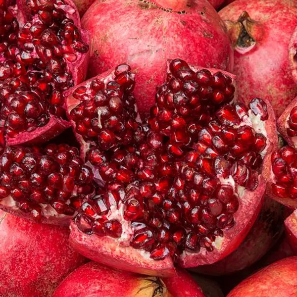 Red_Bhagwa_Anar_Hybrid_Pomegranate_Live_Fruit_Plant_&_Tree_(1.5-3.5_Ft_Hight)_For_Sweet_Home_Garden_Well_Watered_Red_Bhagwa_Pomegranate__(Pack_Of_1)_Healthy_Fruit_plant
