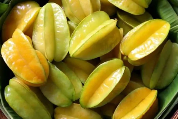 Thai_Hular_Carambola/Chinese_Gooseberry/Star_Fruit_Live_Plant_&_Tree_(1.5-3.5_Ft_Hight)_For_Home_Gardening_(Hybrid,_Pack_Of_1)