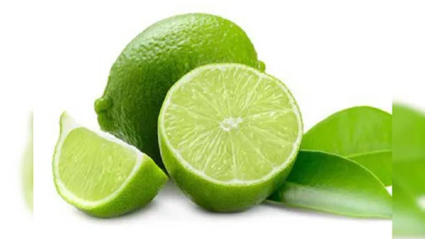 Seedless_Hybrid_Lemon_Plant