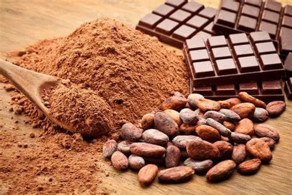 Thai__Red_Cocoa_Live_plant_Fruit_&_Fruit_Trees_Rare_Hybrid_Dwarf_"_Red_colour_Cocoa_Plant_&_Tree__Red