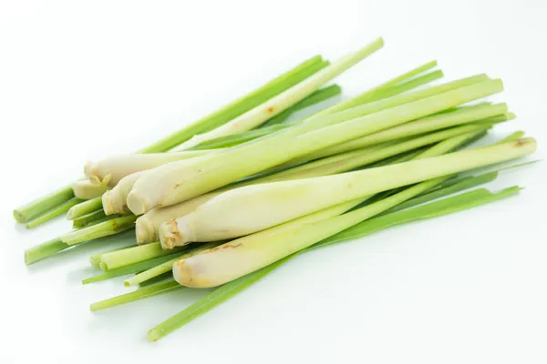 Lemon_Grass_Live_Plant