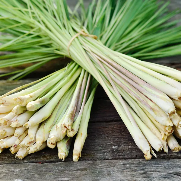 Lemon_Grass_Live_Plant
