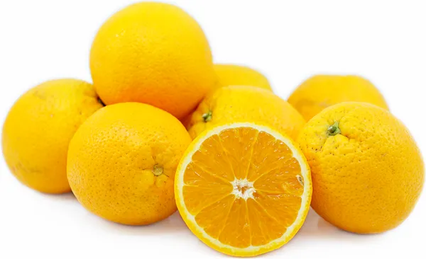 Valencia_Tardivo_Grafted_Sweet_Orange_Hybrid_Fruit_Plant