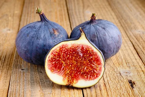 Thailand_Hybrid_Black_Fig_Fruit_Plant