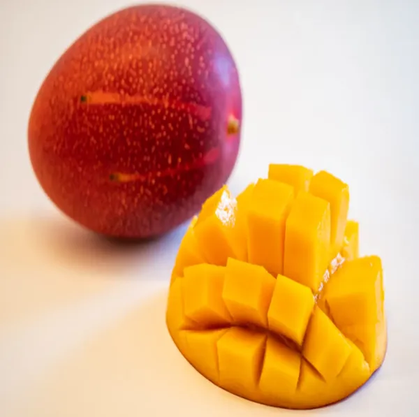 Japanese_Miyazaki_Mango_Hybrid_Grafted_Plant