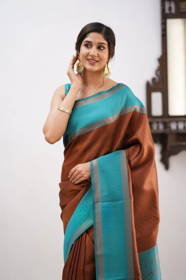 Brown_Soft_jequard__Weaving_Silk_Saree