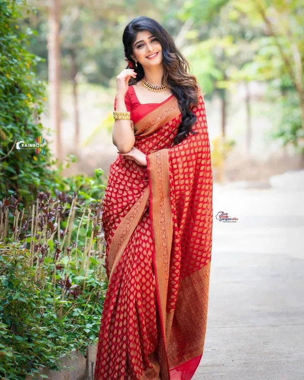 Red_Soft_jequard__Weaving_Silk_Saree