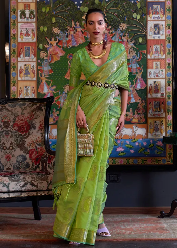 Mint_Green__Oraganza_Sequice_handloom_weaving_saree