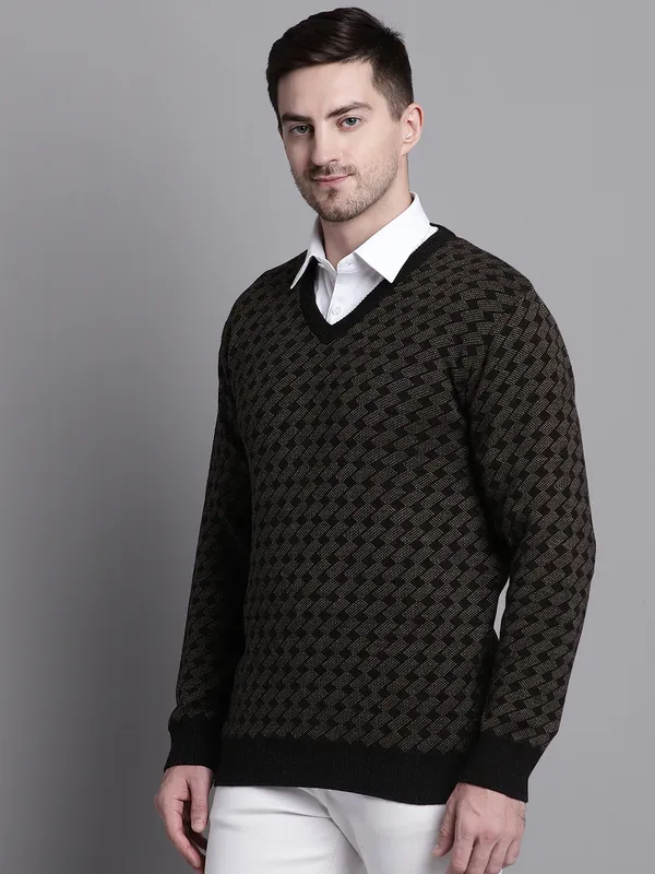 Men_Acrylic_Blend_Wool_Self_Design_V_Neck_Sweater
