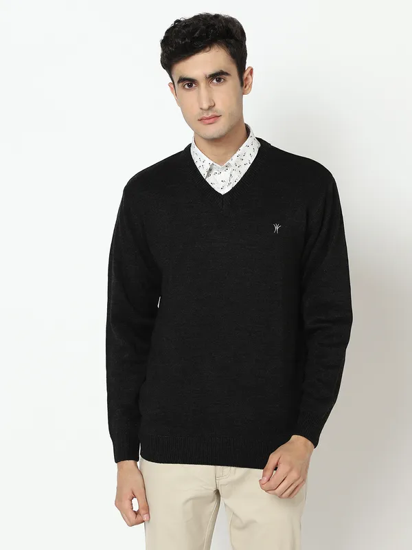 Men_Acrylic_Blend_V_Neck_Full_Sleeves_Sweater