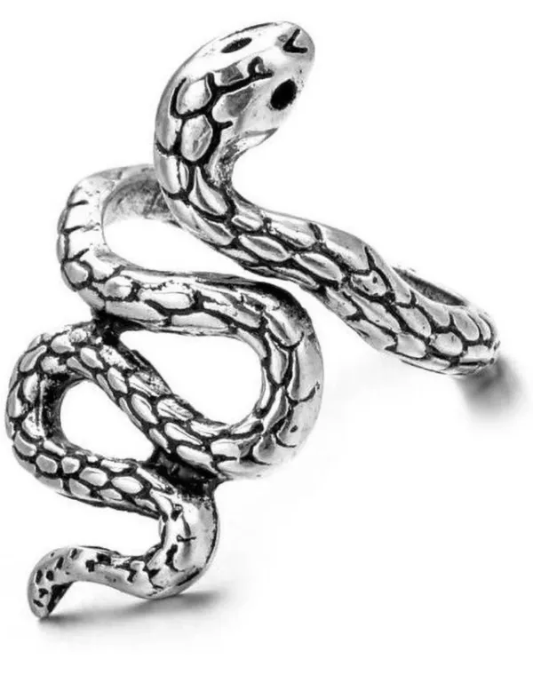 NJ's_Alloy_Ring