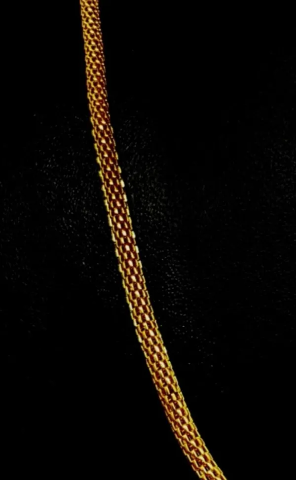 Nj's_Round_snake_gold_plated_brass_chain_chain_