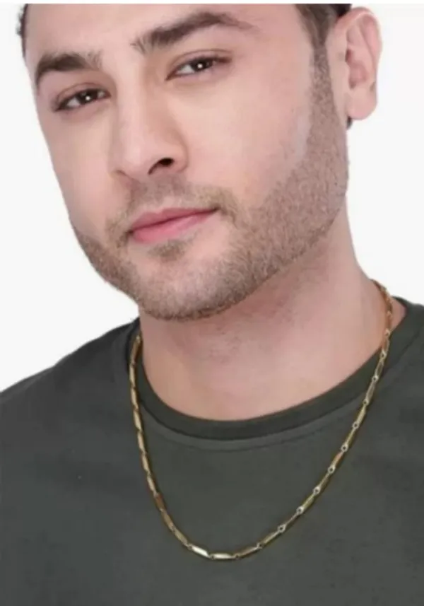 Nj's_rice_chain_gold_-plated_plated_alloy_chain_