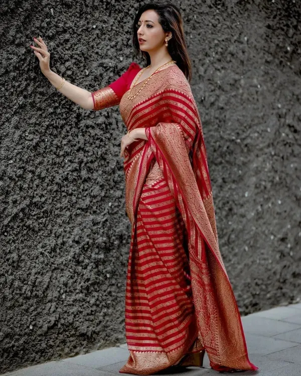 Ethnic_Red_Soft_Silk_Saree_With_Moiety_Blouse_Piece_(VARDHA_RED_2)