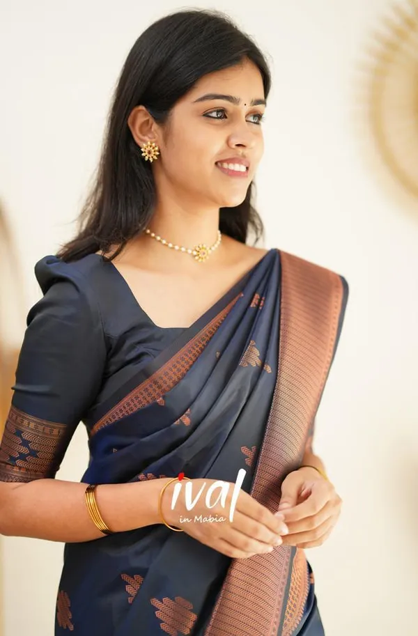 Navy_Blue_Soft_Silk_Saree_With_Dissemble_Blouse_Piece_(MC-230_(2FD)_NAVY_BLUE)