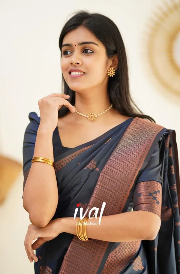 Navy_Blue_Soft_Silk_Saree_With_Dissemble_Blouse_Piece_(MC-230_(2FD)_NAVY_BLUE)