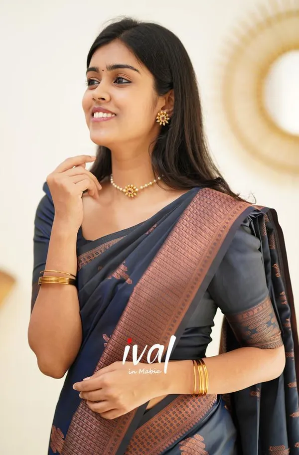 Navy_Blue_Soft_Silk_Saree_With_Dissemble_Blouse_Piece_(MC-230_(2FD)_NAVY_BLUE)