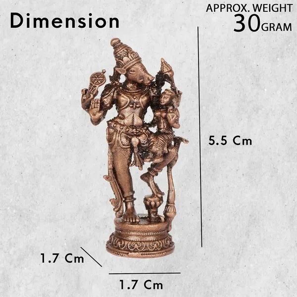 Decor_Handmade_Copper_Bhu_Varaha_Lakshmi_2_inches,_30_gm,_Patina_Antique_Finish,_1_Piece