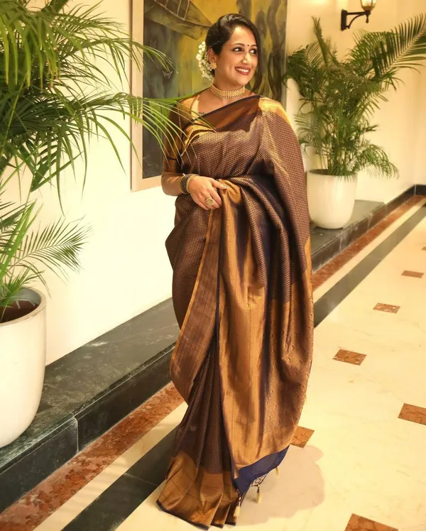 Black_Woven_Kanjivaram_Banarasi_Jacquard_Sari